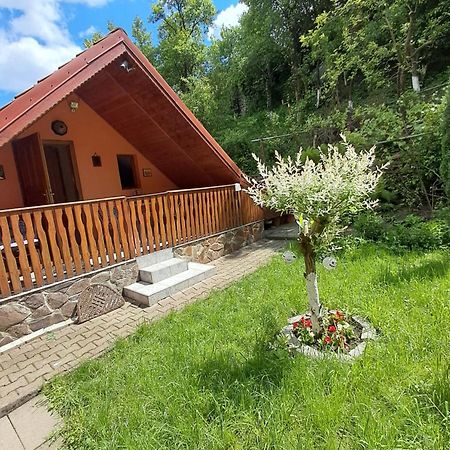 Casa Adimi Apartment Сигишоара Екстериор снимка