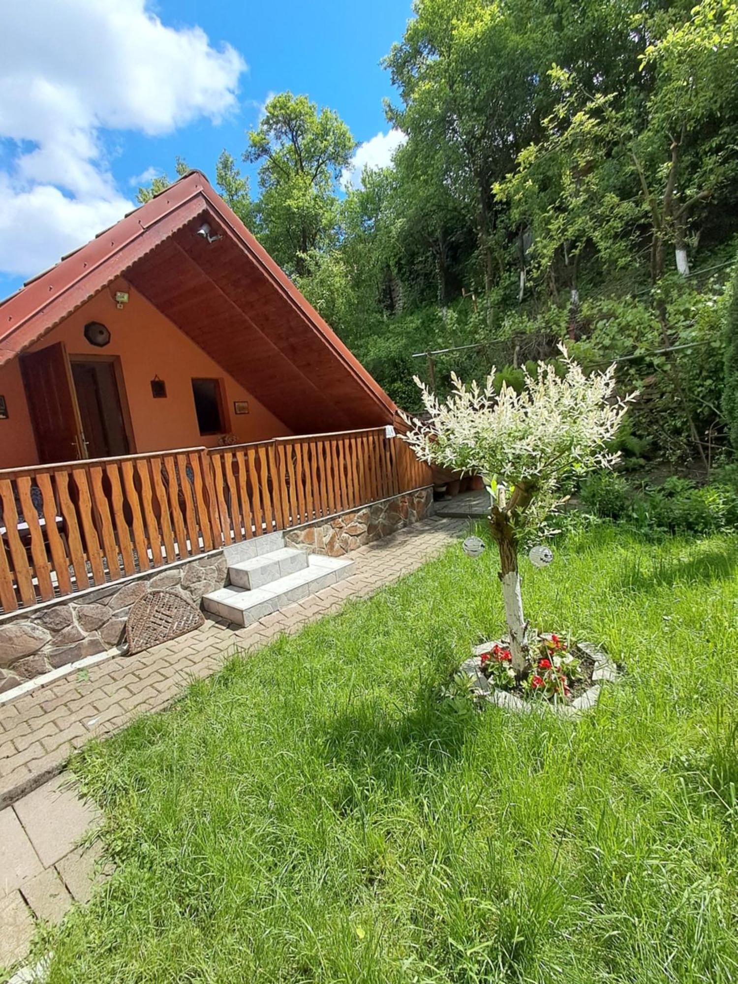 Casa Adimi Apartment Сигишоара Екстериор снимка