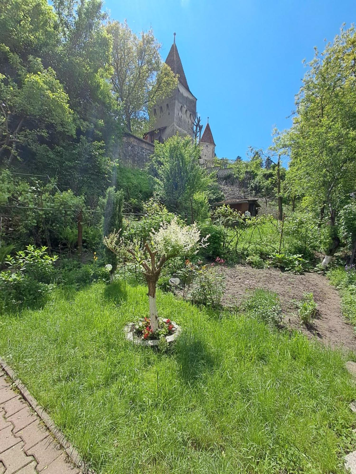 Casa Adimi Apartment Сигишоара Екстериор снимка